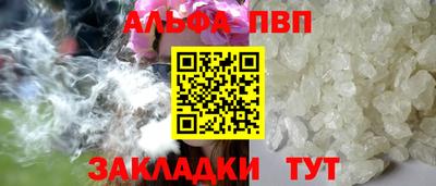 jwh Кингисепп