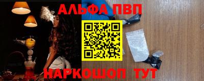 jwh Кингисепп