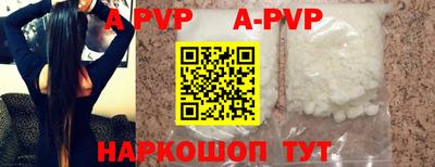 jwh Кингисепп