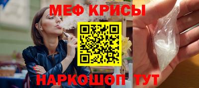 jwh Кингисепп