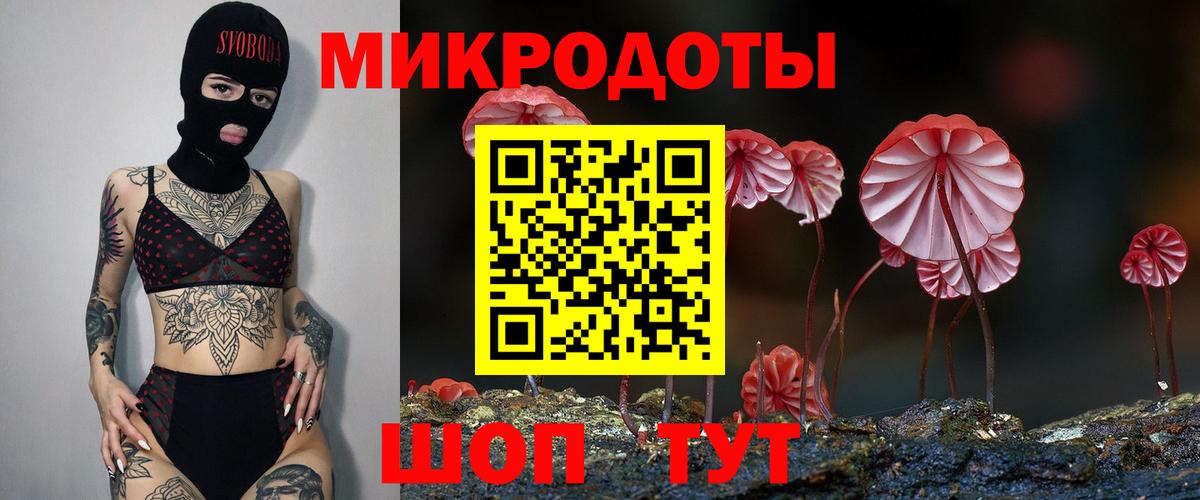 Псилоцибиновые грибы прущие грибы Кубинка
